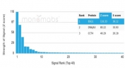 Analysis of a HuProt(TM) microarray containing more than 19,000 full-length human proteins using CD147 antibody (clone BSG/7954). Z- and S- Score: The Z-score represents the strength of a signal that a monoclonal antibody (in combination with a fluorescently-tagged anti-IgG secondary antibody) produces when binding to a particular protein on the HuProt(TM) array. Z-scores are described in units of standard deviations (SD's) above the mean value of all signals generated on that array. If targets on HuProt(TM) are arranged in descending order of the Z-score, the S-score is the difference (also in units of SD's) between the Z-score. S-score therefore represents the relative target specificity of a mAb to its intended target. A mAb is considered to specific to its intended target, if the mAb has an S-score of at least 2.5. For example, if a mAb binds to protein X with a Z-score of 43 and to protein Y with a Z-score of 14, then the S-score for the binding of that mAb to protein X is equal to 29.