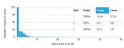 Analysis of a HuProt(TM) microarray containing more than 19,000 full-length human proteins using ZNF846 antibody (clone PCRP-ZNF846-1E12) Z- and S- Score: The Z-score represents the strength of a signal that a monoclonal antibody (in combination with a fluorescently-tagged anti-IgG secondary antibody) produces when binding to a particular protein on the HuProt(TM) array. Z-scores are described in units of standard deviations (SD's) above the mean value of all signals generated on that array. If targets on HuProt(TM) are arranged in descending order of the Z-score, the S-score is the difference (also in units of SD's) between the Z-score. S-score therefore represents the relative target specificity of a mAb to its intended target. A mAb is considered to specific to its intended target, if the mAb has an S-score of at least 2.5. For example, if a mAb binds to protein X with a Z-score of 43 and to protein Y with a Z-score of 14, then the S-score for the binding of that mAb to protein X is equal to 29.