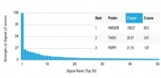 Analysis of a HuProt(TM) microarray containing more than 19,000 full-length human proteins using HMG20B antibody (clone PCRP-HMG20B-1B5). Z- and S- Score: The Z-score represents the strength of a signal that a monoclonal antibody (in combination with a fluorescently-tagged anti-IgG secondary antibody) produces when binding to a particular protein on the HuProt(TM) array. Z-scores are described in units of standard deviations (SD's) above the mean value of all signals generated on that array. If targets on HuProt(TM) are arranged in descending order of the Z-score, the S-score is the difference (also in units of SD's) between the Z-score. S-score therefore represents the relative target specificity of a mAb to its intended target. A mAb is considered to specific to its intended target, if the mAb has an S-score of at least 2.5. For example, if a mAb binds to protein X with a Z-score of 43 and to protein Y with a Z-score of 14, then the S-score for the binding of that mAb to protein X is equal to 29.