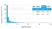Analysis of a HuProt(TM) microarray containing more than 19,000 full-length human proteins using Ob-R antibody (clone LEPR/4545). Z- and S- Score: The Z-score represents the strength of a signal that a monoclonal antibody (in combination with a fluorescently-tagged anti-IgG secondary antibody) produces when binding to a particular protein on the HuProt(TM) array. Z-scores are described in units of standard deviations (SD's) above the mean value of all signals generated on that array. If targets on HuProt(TM) are arranged in descending order of the Z-score, the S-score is the difference (also in units of SD's) between the Z-score. S-score therefore represents the relative target specificity of a mAb to its intended target. A mAb is considered to specific to its intended target, if the mAb has an S-score of at least 2.5. For example, if a mAb binds to protein X with a Z-score of 43 and to protein Y with a Z-score of 14, then the S-score for the binding of that mAb to protein X is equal to 29.