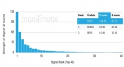 Analysis of a HuProt(TM) microarray containing more than 19,000 full-length human proteins using KIF2C antibody (clone KIF2C/6525). Z- and S- Score: The Z-score represents the strength of a signal that a monoclonal antibody (in combination with a fluorescently-tagged anti-IgG secondary antibody) produces when binding to a particular protein on the HuProt(TM) array. Z-scores are described in units of standard deviations (SD's) above the mean value of all signals generated on that array. If targets on HuProt(TM) are arranged in descending order of the Z-score, the S-score is the difference (also in units of SD's) between the Z-score. S-score therefore represents the relative target specificity of a mAb to its intended target. A mAb is considered to specific to its intended target, if the mAb has an S-score of at least 2.5. For example, if a mAb binds to protein X with a Z-score of 43 and to protein Y with a Z-score of 14, then the S-score for the binding of that mAb to protein X is equal to 29.
