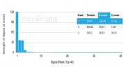 Analysis of a HuProt(TM) microarray containing more than 19,000 full-length human proteins using Hepatoma Derived Growth Factor antibody (clone PCRP-HDGF-1D1). Z- and S- Score: The Z-score represents the strength of a signal that a monoclonal antibody (in combination with a fluorescently-tagged anti-IgG secondary antibody) produces when binding to a particular protein on the HuProt(TM) array. Z-scores are described in units of standard deviations (SD's) above the mean value of all signals generated on that array. If targets on HuProt(TM) are arranged in descending order of the Z-score, the S-score is the difference (also in units of SD's) between the Z-score. S-score therefore represents the relative target specificity of a mAb to its intended target. A mAb is considered to specific to its intended target, if the mAb has an S-score of at least 2.5. For example, if a mAb binds to protein X with a Z-score of 43 and to protein Y with a Z-score of 14, then the S-score for the binding of that mAb to protein X is equal to 29.
