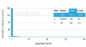 Analysis of a HuProt(TM) microarray containing more than 19,000 full-length human proteins using FABP1 antibody (clone FABP1/4519). Z- and S- Score: The Z-score represents the strength of a signal that a monoclonal antibody (in combination with a fluorescently-tagged anti-IgG secondary antibody) produces when binding to a particular protein on the HuProt(TM) array. Z-scores are described in units of standard deviations (SD's) above the mean value of all signals generated on that array. If targets on HuProt(TM) are arranged in descending order of the Z-score, the S-score is the difference (also in units of SD's) between the Z-score. S-score therefore represents the relative target specificity of a mAb to its intended target. A mAb is considered to specific to its intended target, if the mAb has an S-score of at least 2.5. For example, if a mAb binds to protein X with a Z-score of 43 and to protein Y with a Z-score of 14, then the S-score for the binding of that mAb to protein X is equal to 29.