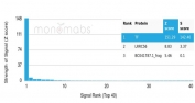 Analysis of a HuProt(TM) microarray containing >19,000 full-length human proteins using Transferrin antibody (clone TF/4799) Z- and S- Score: The Z-score represents the strength of a signal that a monoclonal antibody (in combination with a fluorescently-tagged anti-IgG secondary antibody) produces when binding to a particular protein on the HuProt(TM) array. Z-scores are described in units of standard deviations (SD's) above the mean value of all signals generated on that array. If targets on HuProt(TM) are arranged in descending order of the Z-score, the S-score is the difference (also in units of SD's) between the Z-score. S-score therefore represents the relative target specificity of a mAb to its intended target. A mAb is considered to specific to its intended target, if the mAb has an S-score of at least 2.5. For example, if a mAb binds to protein X with a Z-score of 43 and to protein Y with a Z-score of 14, then the S-score for the binding of that mAb to protein X is equal to 29.