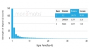 Analysis of a HuProt(TM) microarray containing more than 19,000 full-length human proteins using Interleukin-2 antibody (clone IL2/4985). Z- and S- Score: The Z-score represents the strength of a signal that a monoclonal antibody (in combination with a fluorescently-tagged anti-IgG secondary antibody) produces when binding to a particular protein on the HuProt(TM) array. Z-scores are described in units of standard deviations (SD's) above the mean value of all signals generated on that array. If targets on HuProt(TM) are arranged in descending order of the Z-score, the S-score is the difference (also in units of SD's) between the Z-score. S-score therefore represents the relative target specificity of a mAb to its intended target. A mAb is considered to be specific to its intended target, if the mAb has an S-score of at least 2.5. For example, if a mAb binds to protein X with a Z-score of 43 and to protein Y with a Z-score of 14, then the S-score for the binding of that mAb to protein X is equal to 29.