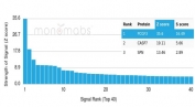 Analysis of a HuProt(TM) microarray containing more than 19,000 full-length human proteins using PCGF3 antibody (clone PCRP-PCGF3-1D5). Z- and S- Score: The Z-score represents the strength of a signal that a monoclonal antibody (in combination with a fluorescently-tagged anti-IgG secondary antibody) produces when binding to a particular protein on the HuProt(TM) array. Z-scores are described in units of standard deviations (SD's) above the mean value of all signals generated on that array. If targets on HuProt(TM) are arranged in descending order of the Z-score, the S-score is the difference (also in units of SD's) between the Z-score. S-score therefore represents the relative target specificity of a mAb to its intended target. A mAb is considered to specific to its intended target, if the mAb has an S-score of at least 2.5. For example, if a mAb binds to protein X with a Z-score of 43 and to protein Y with a Z-score of 14, then the S-score for the binding of that mAb to protein X is equal to 29.