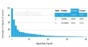 Analysis of a HuProt(TM) microarray containing more than 19,000 full-length human proteins using Interleukin-2 antibody (clone IL2/4988). Z- and S- Score: The Z-score represents the strength of a signal that a monoclonal antibody (in combination with a fluorescently-tagged anti-IgG secondary antibody) produces when binding to a particular protein on the HuProt(TM) array. Z-scores are described in units of standard deviations (SD's) above the mean value of all signals generated on that array. If targets on HuProt(TM) are arranged in descending order of the Z-score, the S-score is the difference (also in units of SD's) between the Z-score. S-score therefore represents the relative target specificity of a mAb to its intended target. A mAb is considered to be specific to its intended target, if the mAb has an S-score of at least 2.5. For example, if a mAb binds to protein X with a Z-score of 43 and to protein Y with a Z-score of 14, then the S-score for the binding of that mAb to protein X is equal to 29.