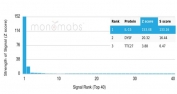 Analysis of a HuProt(TM) microarray containing >19,000 full-length human proteins using Interleukin-15 antibody (clone IL15/4699). Z- and S- Score: The Z-score represents the strength of a signal that a monoclonal antibody (in combination with a fluorescently-tagged anti-IgG secondary antibody) produces when binding to a particular protein on the HuProt(TM) array. Z-scores are described in units of standard deviations (SD's) above the mean value of all signals generated on that array. If targets on HuProt(TM) are arranged in descending order of the Z-score, the S-score is the difference (also in units of SD's) between the Z-score. S-score therefore represents the relative target specificity of a mAb to its intended target. A mAb is considered to specific to its intended target, if the mAb has an S-score of at least 2.5. For example, if a mAb binds to protein X with a Z-score of 43 and to protein Y with a Z-score of 14, then the S-score for the binding of that mAb to protein X is equal to 29.