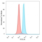 Flow cytometry testing of PFA-fixed human HeLa cells with TFAP2A antibody (clone PCRP-TFAP2A-2C2) followed by goat anti-mouse IgG-CF488 (blue); Red = unstained cells.