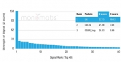 Analysis of a HuProt(TM) microarray containing more than 19,000 full-length human proteins using Interleukin 6 antibody (clone IL6/4643). Z- and S- Score: The Z-score represents the strength of a signal that a monoclonal antibody (in combination with a fluorescently-tagged anti-IgG secondary antibody) produces when binding to a particular protein on the HuProt(TM) array. Z-scores are described in units of standard deviations (SD's) above the mean value of all signals generated on that array. If targets on HuProt(TM) are arranged in descending order of the Z-score, the S-score is the difference (also in units of SD's) between the Z-score. S-score therefore represents the relative target specificity of a mAb to its intended target. A mAb is considered to specific to its intended target, if the mAb has an S-score of at least 2.5. For example, if a mAb binds to protein X with a Z-score of 43 and to protein Y with a Z-score of 14, then the S-score for the binding of that mAb to protein X is equal to 29.