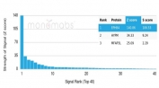 Analysis of a HuProt(TM) microarray containing more than 19,000 full-length human proteins using EPHB4 antibody (clone EPHB4/6392). Z- and S- Score: The Z-score represents the strength of a signal that a monoclonal antibody (in combination with a fluorescently-tagged anti-IgG secondary antibody) produces when binding to a particular protein on the HuProt(TM) array. Z-scores are described in units of standard deviations (SD's) above the mean value of all signals generated on that array. If targets on HuProt(TM) are arranged in descending order of the Z-score, the S-score is the difference (also in units of SD's) between the Z-score. S-score therefore represents the relative target specificity of a mAb to its intended target. A mAb is considered to specific to its intended target, if the mAb has an S-score of at least 2.5. For example, if a mAb binds to protein X with a Z-score of 43 and to protein Y with a Z-score of 14, then the S-score for the binding of that mAb to protein X is equal to 29.
