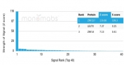Analysis of a HuProt(TM) microarray containing more than 19,000 full-length human proteins using ZNF157 antibody (clone PCRP-ZNF157-1A8). Z- and S- Score: The Z-score represents the strength of a signal that a monoclonal antibody (in combination with a fluorescently-tagged anti-IgG secondary antibody) produces when binding to a particular protein on the HuProt(TM) array. Z-scores are described in units of standard deviations (SD's) above the mean value of all signals generated on that array. If targets on HuProt(TM) are arranged in descending order of the Z-score, the S-score is the difference (also in units of SD's) between the Z-score. S-score therefore represents the relative target specificity of a mAb to its intended target. A mAb is considered to specific to its intended target, if the mAb has an S-score of at least 2.5. For example, if a mAb binds to protein X with a Z-score of 43 and to protein Y with a Z-score of 14, then the S-score for the binding of that mAb to protein X is equal to 29.