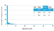 Analysis of HuProt(TM) microarray containing more than 19,000 full-length human proteins using BRCA-1 antibody (clone BRCA1/2973). These results demonstrate the foremost specificity of the BRCA1/2973 mAb. Z- and S- Score: The Z-score represents the strength of a signal that a monoclonal antibody (clone MAb) (in combination with a fluorescently-tagged anti-IgG secondary antibody) produces when binding to a particular protein on the HuProt(TM) array. Z-scores are described in units of standard deviations (SD's) above the mean value of all signals generated on that array. If targets on HuProt(TM) are arranged in descending order of the Z-score, the S-score is the difference (also in units of SD's) between the Z-score. S-score therefore represents the relative target specificity of a MAb to its intended target. A MAb is considered to specific to its intended target, if the MAb has an S-score of at least 2.5. For example, if a MAb binds to protein X with a Z-score of 43 and to protein Y with a Z-score of 14, then the S-score for the binding of that MAb to protein X is equal to 29.