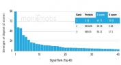 Analysis of HuProt(TM) microarray containing more than 19,000 full-length human proteins using Interleukin 18 antibody (clone IL18/4623). These results demonstrate the foremost specificity of the IL18/4623 mAb. Z- and S- Score: The Z-score represents the strength of a signal that a monoclonal antibody (clone MAb) (in combination with a fluorescently-tagged anti-IgG secondary antibody) produces when binding to a particular protein on the HuProt(TM) array. Z-scores are described in units of standard deviations (SD's) above the mean value of all signals generated on that array. If targets on HuProt(TM) are arranged in descending order of the Z-score, the S-score is the difference (also in units of SD's) between the Z-score. S-score therefore represents the relative target specificity of a MAb to its intended target. A MAb is considered to specific to its intended target, if the MAb has an S-score of at least 2.5. For example, if a MAb binds to protein X with a Z-score of 43 and to protein Y with a Z-score of 14, then the S-score for the binding of that MAb to protein X is equal to 29.