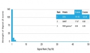 Analysis of HuProt(TM) microarray containing more than 19,000 full-length human proteins using Decorin antibody (clone DCN/3521). These results demonstrate the foremost specificity of the DCN/3521 mAb. Z- and S- score: The Z-score represents the strength of a signal that an antibody (in combination with a fluorescently-tagged anti-IgG secondary Ab) produces when binding to a particular protein on the HuProt(TM) array. Z-scores are described in units of standard deviations (SD's) above the mean value of all signals generated on that array. If the targets on the HuProt(TM) are arranged in descending order of the Z-score, the S-score is the difference (also in units of SD's) between the Z-scores. The S-score therefore represents the relative target specificity of an Ab to its intended target.