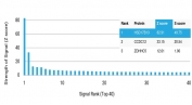 Analysis of HuProt(TM) microarray containing more than 19,000 full-length human proteins using HSD17B13 antibody (clone HSD17B13/13101). These results demonstrate the foremost specificity of the HSD17B13/13101 mAb. Z- and S- score: The Z-score represents the strength of a signal that an antibody (in combination with a fluorescently-tagged anti-IgG secondary Ab) produces when binding to a particular protein on the HuProt(TM) array. Z-scores are described in units of standard deviations (SD's) above the mean value of all signals generated on that array. If the targets on the HuProt(TM) are arranged in descending order of the Z-score, the S-score is the difference (also in units of SD's) between the Z-scores. The S-score therefore represents the relative target specificity of an Ab to its intended target.