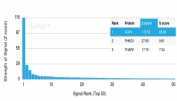 Analysis of HuProt(TM) microarray containing more than 19,000 full-length human proteins using Aquaporin 4 antibody (clone AQP4/3321). These results demonstrate the foremost specificity of the AQP4/3321 mAb. Z- and S- score: The Z-score represents the strength of a signal that an antibody (in combination with a fluorescently-tagged anti-IgG secondary Ab) produces when binding to a particular protein on the HuProt(TM) array. Z-scores are described in units of standard deviations (SD's) above the mean value of all signals generated on that array. If the targets on the HuProt(TM) are arranged in descending order of the Z-score, the S-score is the difference (also in units of SD's) between the Z-scores. The S-score therefore represents the relative target specificity of an Ab to its intended target.