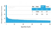 Analysis of HuProt(TM) microarray containing more than 19,000 full-length human proteins using AQP4 antibody (clone AQP4/3323). These results demonstrate the foremost specificity of the AQP4/3323 mAb. Z- and S- score: The Z-score represents the strength of a signal that an antibody (in combination with a fluorescently-tagged anti-IgG secondary Ab) produces when binding to a particular protein on the HuProt(TM) array. Z-scores are described in units of standard deviations (SD's) above the mean value of all signals generated on that array. If the targets on the HuProt(TM) are arranged in descending order of the Z-score, the S-score is the difference (also in units of SD's) between the Z-scores. The S-score therefore represents the relative target specificity of an Ab to its intended target.