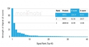 Analysis of HuProt(TM) microarray containing more than 19,000 full-length human proteins using NDPK-B antibody (clone NME2/6436). These results demonstrate the foremost specificity of the NME2/6436 mAb. Z- and S- score: The Z-score represents the strength of a signal that an antibody (in combination with a fluorescently-tagged anti-IgG secondary Ab) produces when binding to a particular protein on the HuProt(TM) array. Z-scores are described in units of standard deviations (SD's) above the mean value of all signals generated on that array. If the targets on the HuProt(TM) are arranged in descending order of the Z-score, the S-score is the difference (also in units of SD's) between the Z-scores. The S-score therefore represents the relative target specificity of an Ab to its intended target.