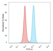 Flow cytometry staining of PFA-fixed human HeLa cells with BACH2 antibody (clone PCRP-BACH2-5B11); Red=isotype control, Blue= BACH2 antibody.