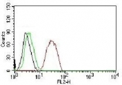 FACS testing of MCF-7 cells:  Black=cells alone; Green=isotype control; Red=Estrogen Receptor beta antibody