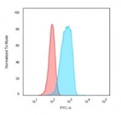 Flow cytometry testing of human Raji cells with CD20 antibody (clone CDLA20-1); Red=isotype control, Blue= CD20 antibody.