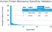Analysis of HuProt(TM) microarray containing more than 19,000 full-length human proteins using TMEPAI antibody (clone PMEPA1/2696). These results demonstrate the foremost specificity of the PMEPA1/2696 mAb. Z- and S- score: The Z-score represents the strength of a signal that an antibody (in combination with a fluorescently-tagged anti-IgG secondary Ab) produces when binding to a particular protein on the HuProt(TM) array. Z-scores are described in units of standard deviations (SD's) above the mean value of all signals generated on that array. If the targets on the HuProt(TM) are arranged in descending order of the Z-score, the S-score is the difference (also in units of SD's) between the Z-scores. The S-score therefore represents the relative target specificity of an Ab to its intended target.