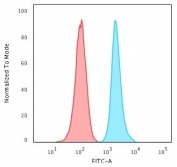 FACS testing of human HeLa cells with Ki-67 antibody (blue, clone MKI67/2466) and isotype control (red). Cells were trypsinized and 2-4% PFA-fixed prior to staining. 