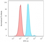 FACS testing of human HeLa cells with Ki67 antibody (blue, clone MKI67/2463) and isotype control (red). Cells were trypsinized and 2-4% PFA-fixed prior to staining. 