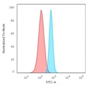 Flow cytometry staining of human HeLa cells with Spectrin beta III antibody; Red=isotype control, Blue= Spectrin beta III antibody.