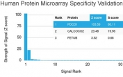 Analysis of HuProt(TM) microarray containing more than 19,000 full-length human proteins using PDCD1 antibody (clone PDCD1/2720). These results demonstrate the foremost specificity of the PDCD1/2720 mAb. Z- and S- score: The Z-score represents the strength of a signal that an antibody (in combination with a fluorescently-tagged anti-IgG secondary Ab) produces when binding to a particular protein on the HuProt(TM) array. Z-scores are described in units of standard deviations (SD's) above the mean value of all signals generated on that array. If the targets on the HuProt(TM) are arranged in descending order of the Z-score, the S-score is the difference (also in units of SD's) between the Z-scores. The S-score therefore represents the relative target specificity of an Ab to its intended target.
