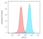 Flow cytometry testing of PFA-fixed human K562 cells with CD43 antibody (clone SPN/3388); Red=isotype control, Blue= CD43 antibody.
