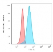 Flow cytometry testing of permeabilized human T98G cells with recombinant UchL1 antibody (clone rUBCE-L1); Red=isotype control, Blue= recombinant PGP9.5 antibody.