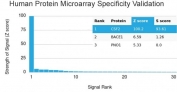Analysis of HuProt(TM) microarray containing more than 19,000 full-length human proteins using GM-CSF antibody (clone CSF2/3402). These results demonstrate the foremost specificity of the CSF2/3402 mAb. Z- and S- score: The Z-score represents the strength of a signal that an antibody (in combination with a fluorescently-tagged anti-IgG secondary Ab) produces when binding to a particular protein on the HuProt(TM) array. Z-scores are described in units of standard deviations (SD's) above the mean value of all signals generated on that array. If the targets on the HuProt(TM) are arranged in descending order of the Z-score, the S-score is the difference (also in units of SD's) between the Z-scores. The S-score therefore represents the relative target specificity of an Ab to its intended target.
