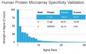 Analysis of HuProt(TM) microarray containing more than 19,000 full-length human proteins using C1QA antibody (clone C1QA/2954). These results demonstrate the foremost specificity of the C1QA/2954 mAb. Z- and S- score: The Z-score represents the strength of a signal that an antibody (in combination with a fluorescently-tagged anti-IgG secondary Ab) produces when binding to a particular protein on the HuProt(TM) array. Z-scores are described in units of standard deviations (SD's) above the mean value of all signals generated on that array. If the targets on the HuProt(TM) are arranged in descending order of the Z-score, the S-score is the difference (also in units of SD's) between the Z-scores. The S-score therefore represents the relative target specificity of an Ab to its intended target.