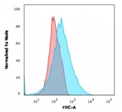 Flow cytometry testing of human Jurkat cells with PDL2 antibody (clone PDL2/1850); Red=isotype control, Blue= PD-L2 antibody.