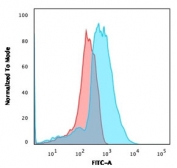 Flow cytometry testing of PFA-fixed human 293 cells with unlabeled CD137L antibody; Red=isotype control, Blue= CD137L antibody.