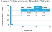 Analysis of HuProt(TM) microarray containing more than 19,000 full-length human proteins using CD86 antibody (clone C86/3716). These results demonstrate the foremost specificity of the C86/3716 mAb. Z- and S- score: The Z-score represents the strength of a signal that an antibody (in combination with a fluorescently-tagged anti-IgG secondary Ab) produces when binding to a particular protein on the HuProt(TM) array. Z-scores are described in units of standard deviations (SD's) above the mean value of all signals generated on that array. If the targets on the HuProt(TM) are arranged in descending order of the Z-score, the S-score is the difference (also in units of SD's) between the Z-scores. The S-score therefore represents the relative target specificity of an Ab to its intended target.