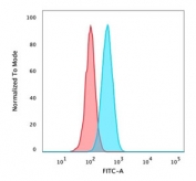 Flow cytometry testing of PFA-fixed human HeLa cells with unlabeled recombinant p40 antibody (clone rTP40/3690); Red=isotype control, Blue= recombinant p40 antibody.