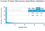 Analysis of HuProt(TM) microarray containing more than 19,000 full-length human proteins using Haptoglobin antibody (clone HP/3835). These results demonstrate the foremost specificity of the HP/3835 mAb. Z- and S- score: The Z-score represents the strength of a signal that an antibody (in combination with a fluorescently-tagged anti-IgG secondary Ab) produces when binding to a particular protein on the HuProt(TM) array. Z-scores are described in units of standard deviations (SD's) above the mean value of all signals generated on that array. If the targets on the HuProt(TM) are arranged in descending order of the Z-score, the S-score is the difference (also in units of SD's) between the Z-scores. The S-score therefore represents the relative target specificity of an Ab to its intended target.