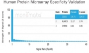 Analysis of HuProt(TM) microarray containing more than 19,000 full-length human proteins using IGF1R antibody (clone IGF1R/4667). These results demonstrate the foremost specificity of the IGF1R/4667 mAb. Z- and S- score: The Z-score represents the strength of a signal that an antibody (in combination with a fluorescently-tagged anti-IgG secondary Ab) produces when binding to a particular protein on the HuProt(TM) array. Z-scores are described in units of standard deviations (SD's) above the mean value of all signals generated on that array. If the targets on the HuProt(TM) are arranged in descending order of the Z-score, the S-score is the difference (also in units of SD's) between the Z-scores. The S-score therefore represents the relative target specificity of an Ab to its intended target.