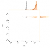 FACS staining of human MCF-7 cells with CD63 antibody (blue, clone LAMP3/4949), unstained cells (blue, clone gray).
