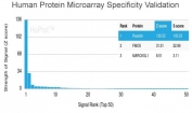 Analysis of HuProt(TM) microarray containing more than 19,000 full-length human proteins using RETN antibody (clone RETN/4326). These results demonstrate the foremost specificity of the RETN/4326 mAb. Z- and S- score: The Z-score represents the strength of a signal that an antibody (in combination with a fluorescently-tagged anti-IgG secondary Ab) produces when binding to a particular protein on the HuProt(TM) array. Z-scores are described in units of standard deviations (SD's) above the mean value of all signals generated on that array. If the targets on the HuProt(TM) are arranged in descending order of the Z-score, the S-score is the difference (also in units of SD's) between the Z-scores. The S-score therefore represents the relative target specificity of an Ab to its intended target.