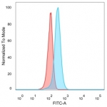 FACS staining of PFA-fixed human HeLa cells with FOXB1 antibody (blue, clone PCRP-FOXB1-1B7) and isotype control (red).