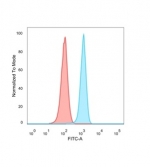 FACS staining of PFA-fixed human HeLa cells with FRA2 antibody (blue, clone PCRP-FOSL2-1B1), and isotype control (red).