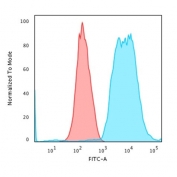 Flow cytometry testing of MeOH fixed human HeLa cells with Cytokeratin 8 antibody (clone SPM538); Red=isotype control, Blue= Cytokeratin 8 antibody.