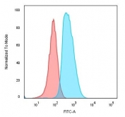 Flow cytometry testing of human Raji cells with anti-CD74 antibody (clone SPM523); Red=isotype control, Blue= anti-CD74 antibody.