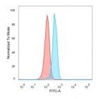 FACS staining of PFA-fixed human MCF-7 cells with using SOD1 antibody (blue, clone SOD1/4331) and isotype control (red).
