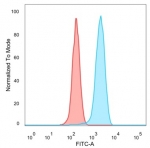 FACS staining of PFA-fixed human HeLa cells with EIF2A antibody (blue, clone PCRP-EIF2S1-1E2) and isotype control (red).
