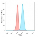 FACS staining of PFA-fixed human U-87 cells with Eukaryotic translation initiation factor 4E antibody (blue, clone PCRP-EIF4E-1D3), and isotype control (red).